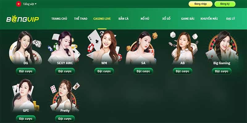 Game bài Bongvip- Địa chỉ thu hút lượng bet thủ tham gia khủng