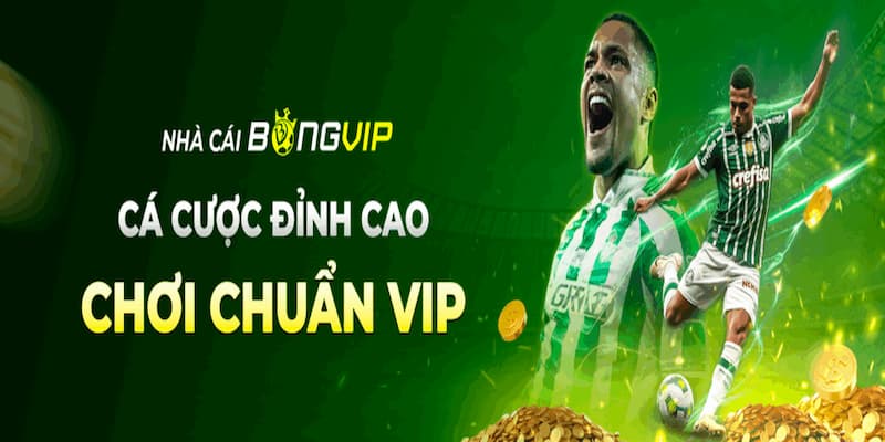 Truy cập Bongvip dễ dàng, giải pháp vào link không bị chặn